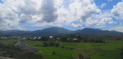 风景 风景